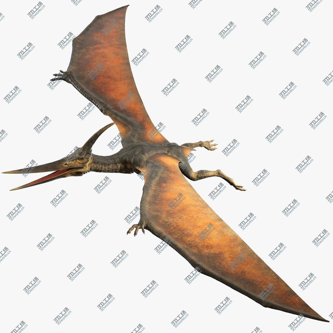 images/goods_img/20210313/3D Pteranodon No Rig(1)/1.jpg